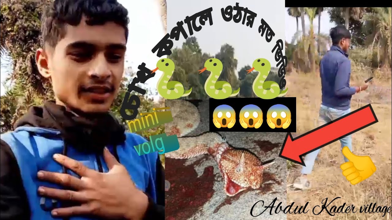 জঙ্গলের ভিতরে সাপ 🐍😱 minivolg-159#long 