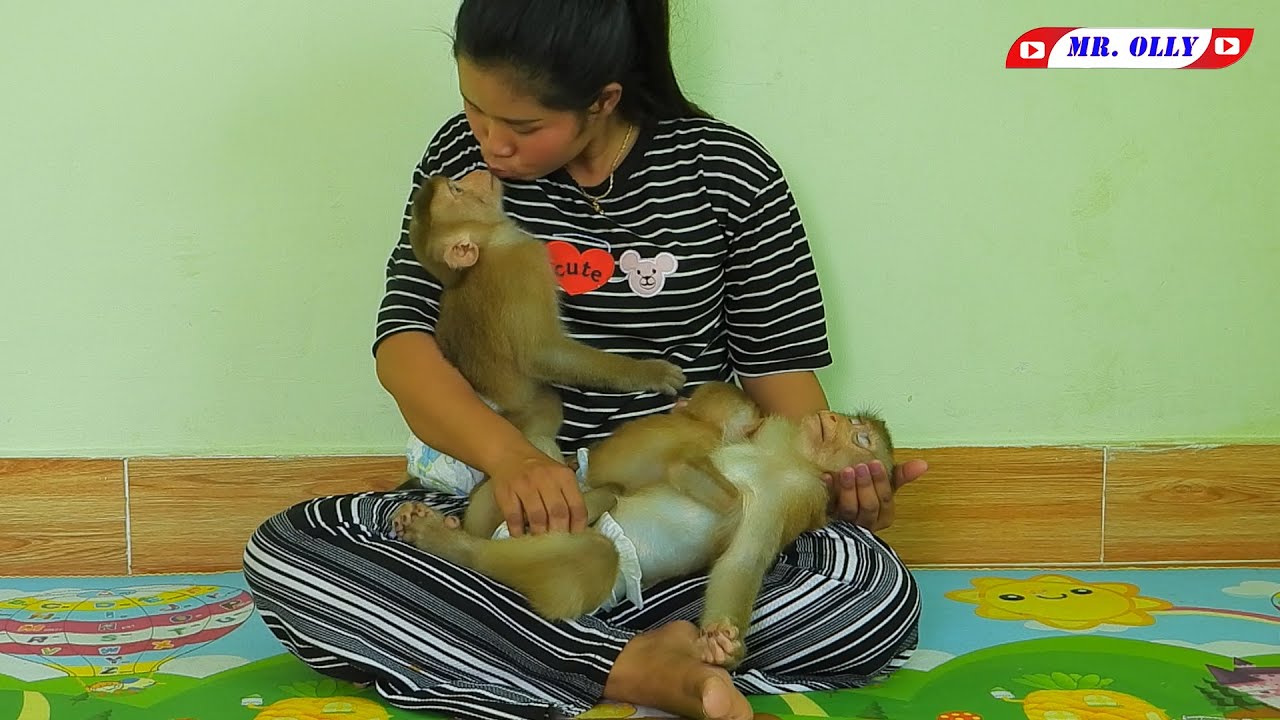 Mommy Kiss Sister LUNA While OLLY Sleeping Well Hug Brother KAKO