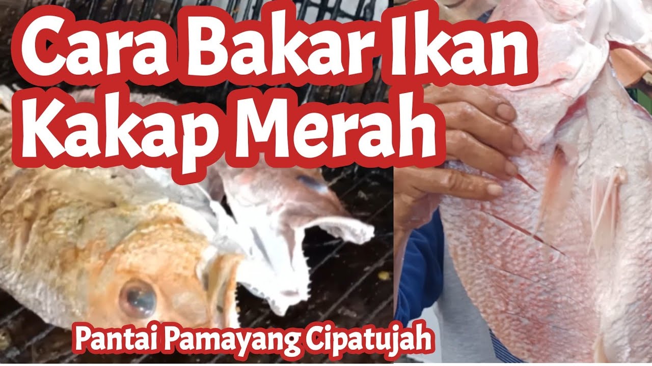 Cara Bakar Ikan Kakap Merah | Kakap Merah Empuk dan Lezat | Bumbu Rahasia Bakar Ikan Kakap Merah