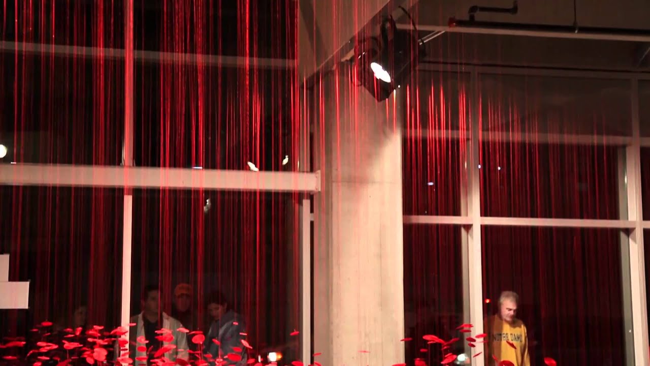 90 Seconds: Beili Liu - Brian Kelly at ArtPrize