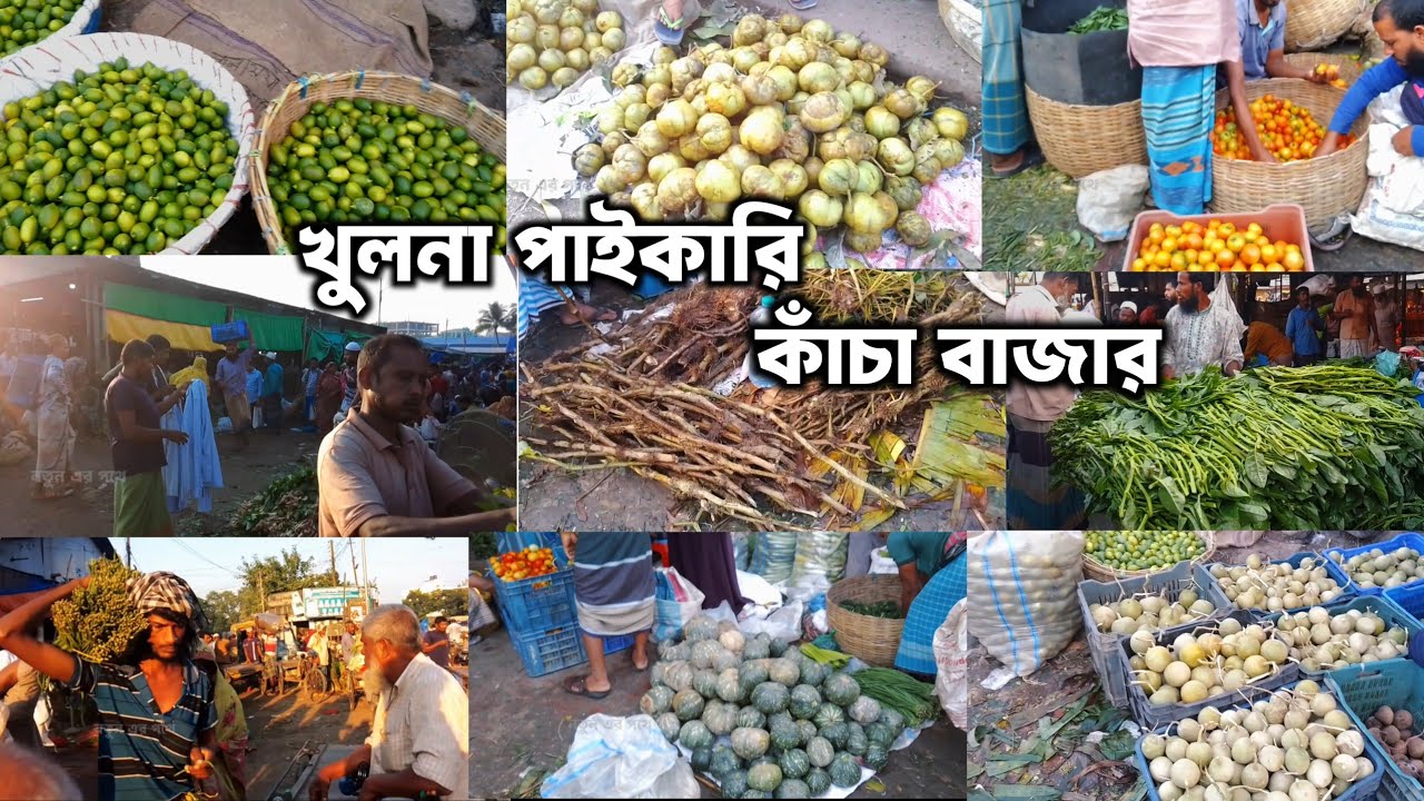Khulna Truck Stand পাইকারি কাঁচা বাজার | Wholesale Vegetable Market 