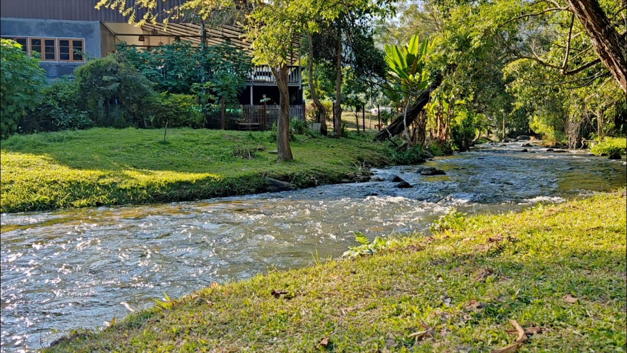 Relaxing River Sounds - Peaceful River Ambience. for Sleep, Water Sounds, ASMR