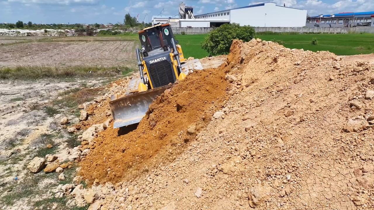 Amazing Expert​ SHANTUI Dozer C3 Cleared Land With Push Soil In Field
