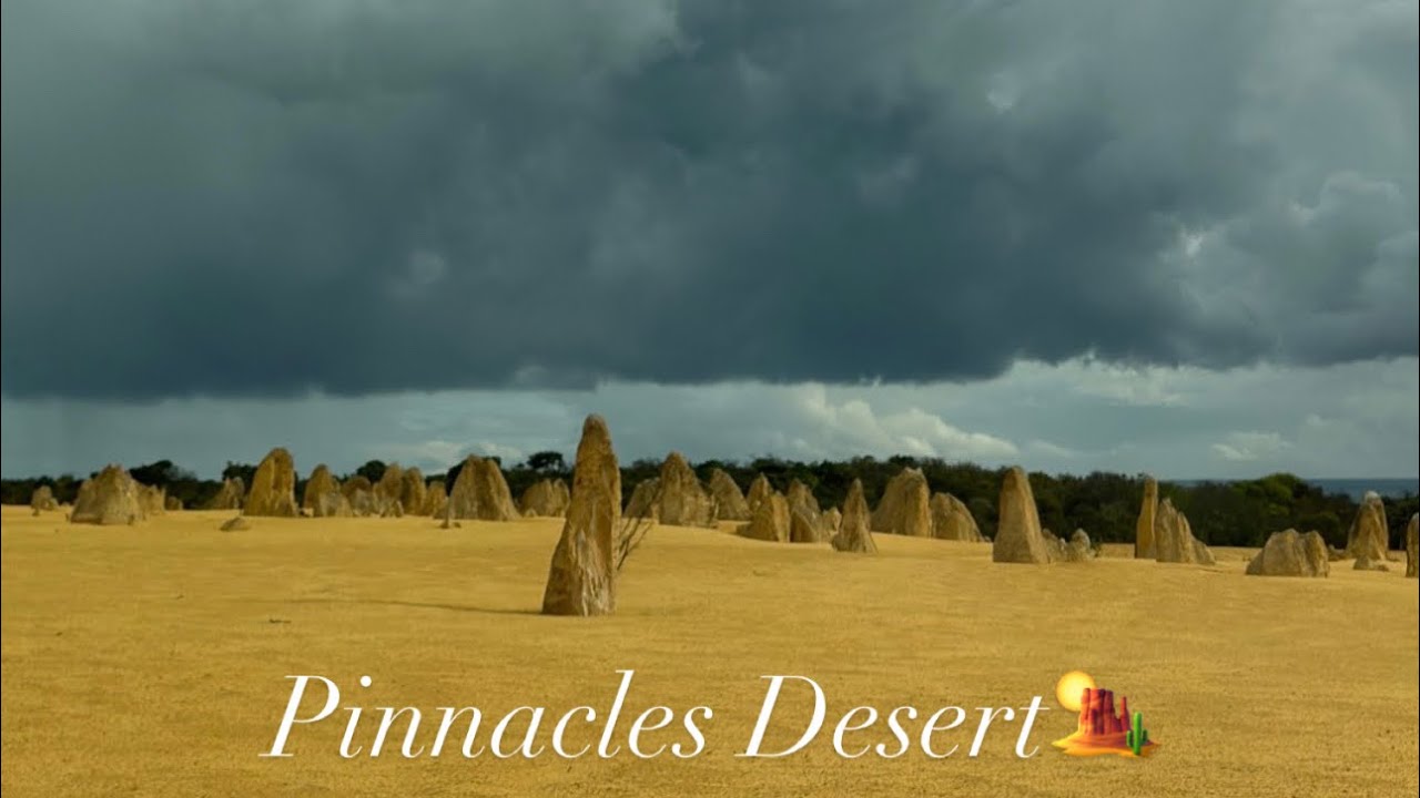 Mini vlog✨|| travel vlog|| pinnacles desert🏜️|| fam🤗