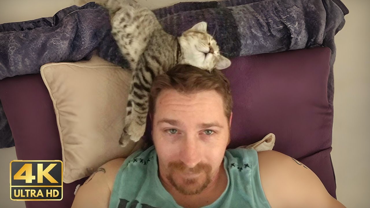 Dads Who Are Now Best Friends With The Cats They Didn't Want