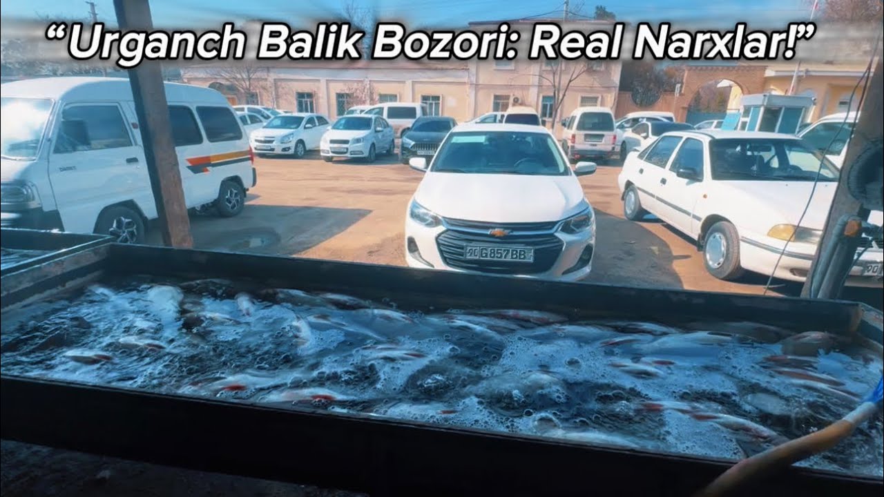 Xorazm Urganch balik bozori 🔥🔥🔥🐟🐟