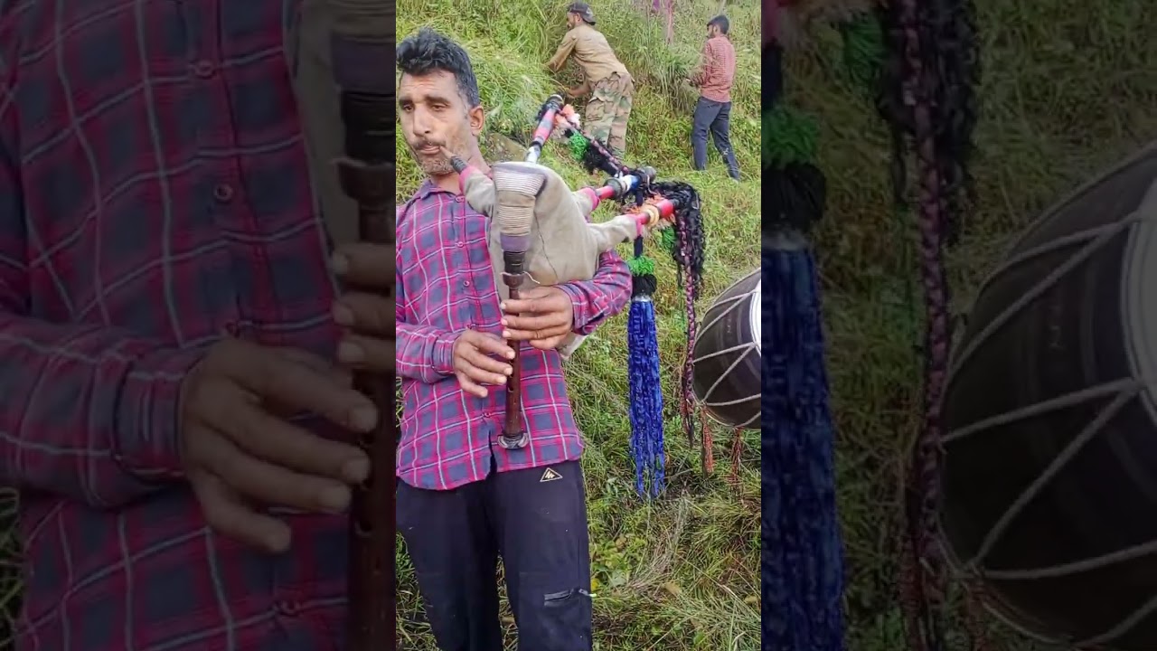 Traditional Grass Cutting#today#jamola#rajouri#jk#ut#viralvideo