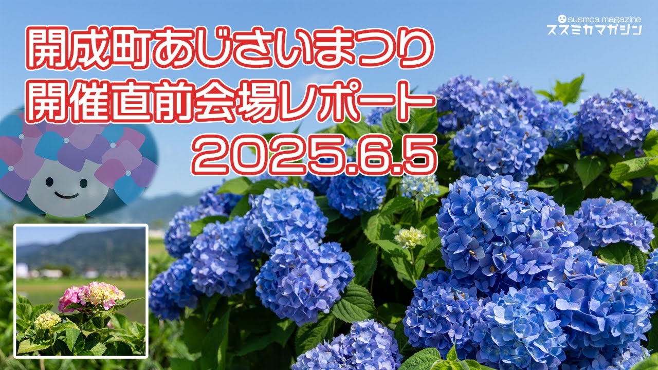 開成町あじさいまつり2025先行現地レポ（0605）