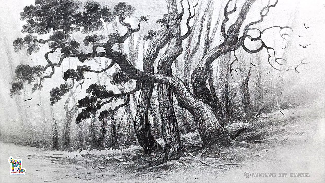 How to draw Old Trees in Forest Drawing | Moody Forest Pencil Art | Step-by-Step Pencil Art