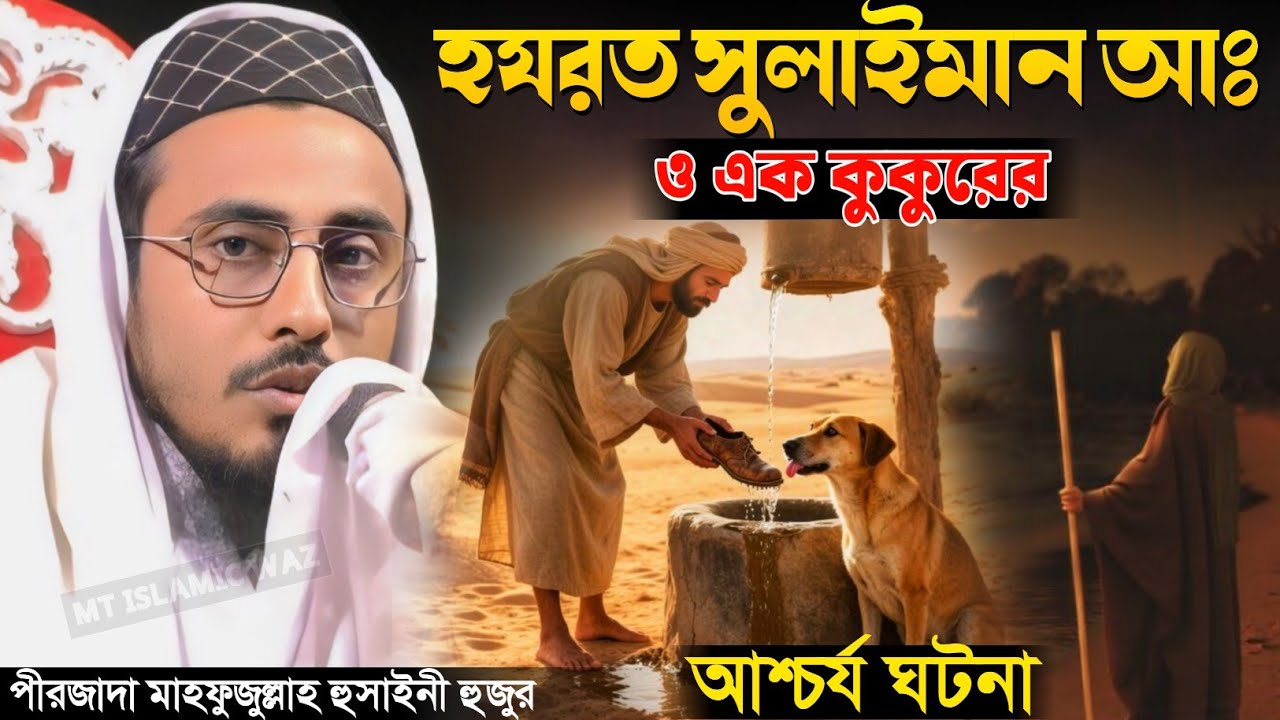হযরত সুলাইমান আঃ ও এক কুকুরের আশ্চর্য ঘটনা /পীরজাদা মাহফুজুল্লাহ হোসাইনী Pirzada Mahfujulla Hussaini