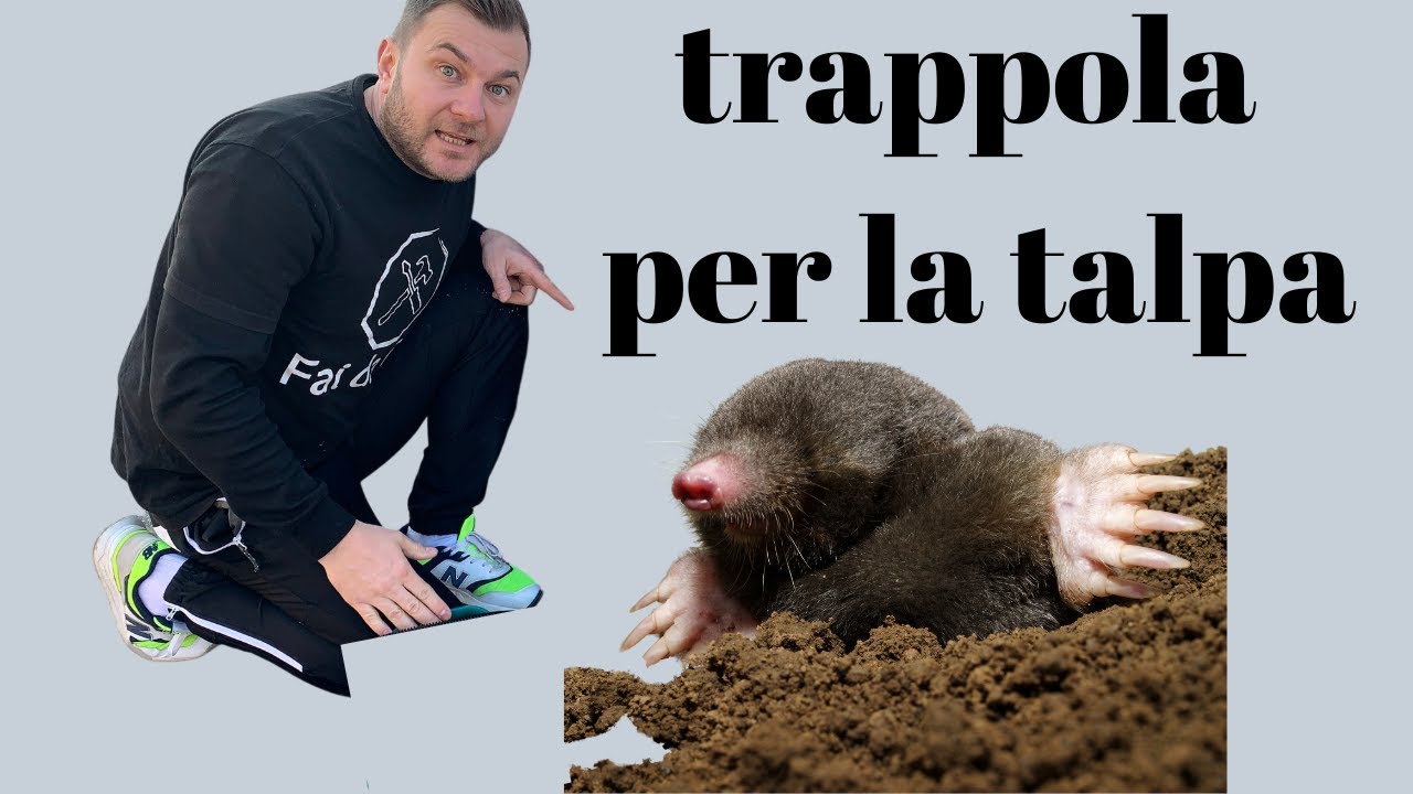Come fare una trappola per le talpe FAI DA TE