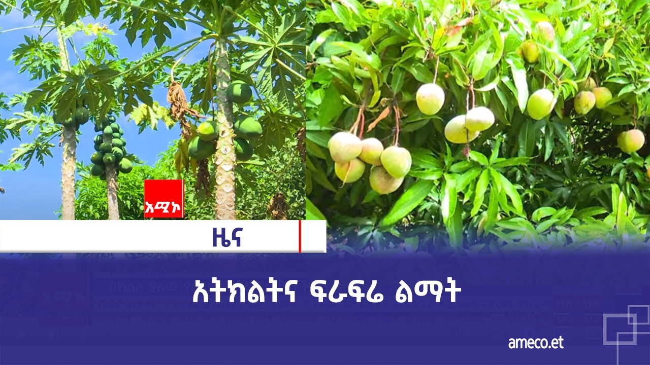 አትክልትና ፍራፍሬ ልማት