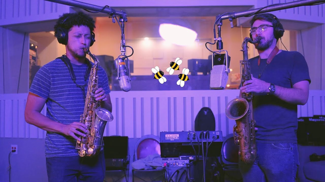 Bees - Everything Yes (Studio Live)