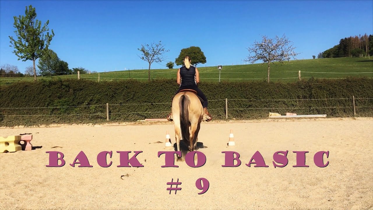 | Back to Basic #9 - Schlangenlinien mit Innenstellung |
