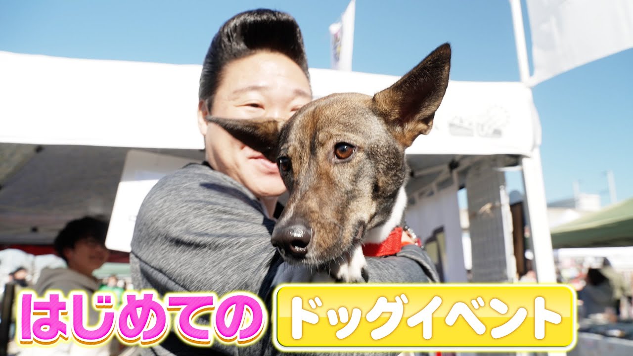 【犬イベント】メイちゃん初めてのドッグイベント！珍しいワンちゃんがたくさんいて天国でした