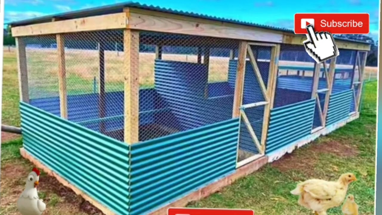 Gallineros en casa ideas para gallineros en casa facil y económico 