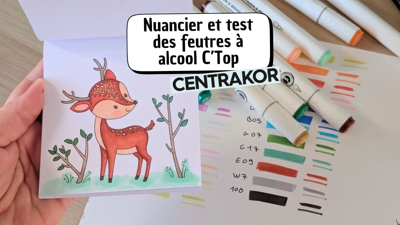 NUANCIER FEUTRES A ALCOOL C'Top CENTRAKOR #cozycoloring 