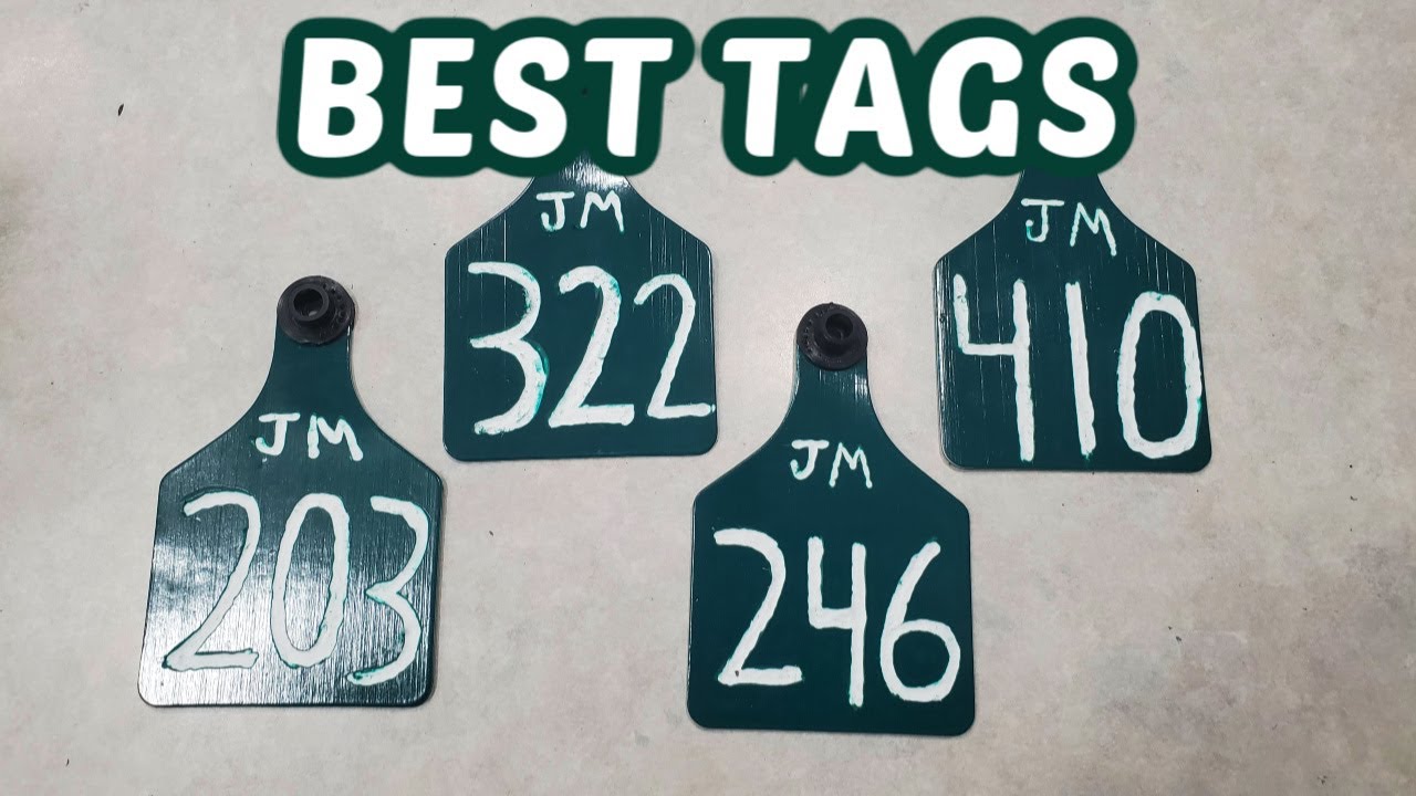 Engraving RITCHEY Tags!