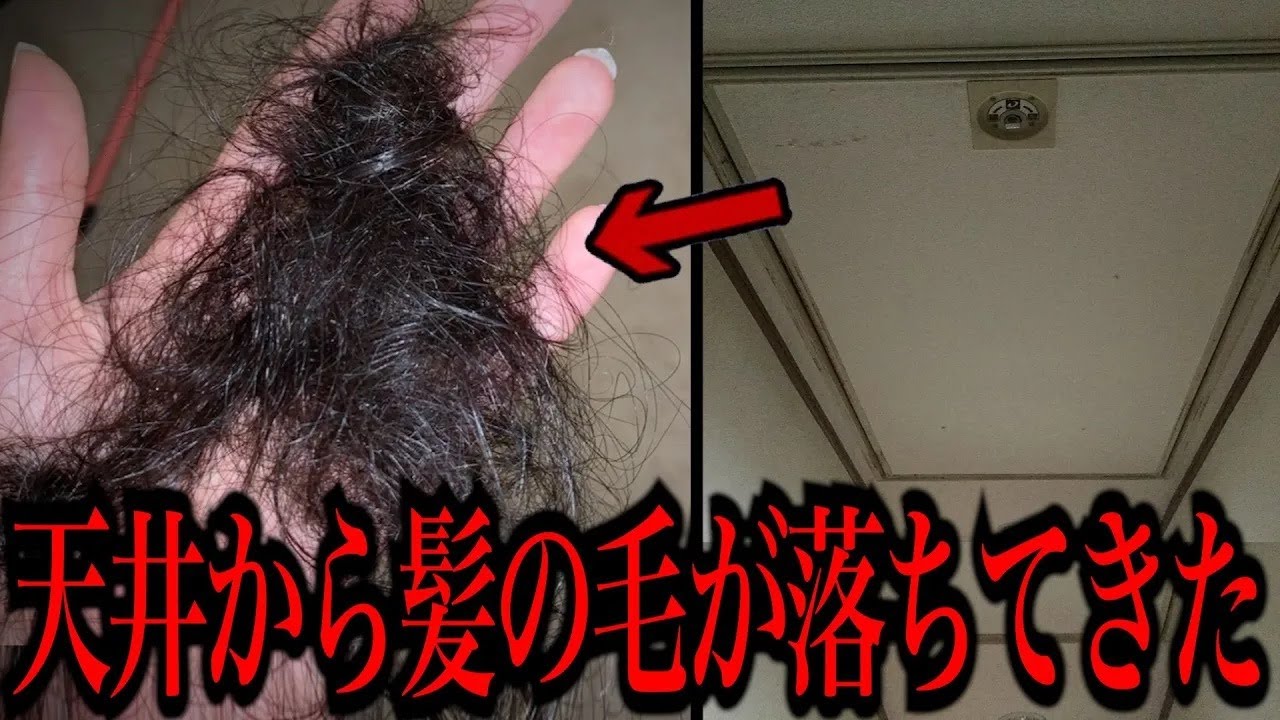 【2ch最恐スレ】「屋根裏から変な音する。獣害に詳しいやつ来てくれ」 ネットを震撼させた恐怖体験がツッコミどころ満載だったwww最恐傑作選#14【ツッコミ】【なろ屋】