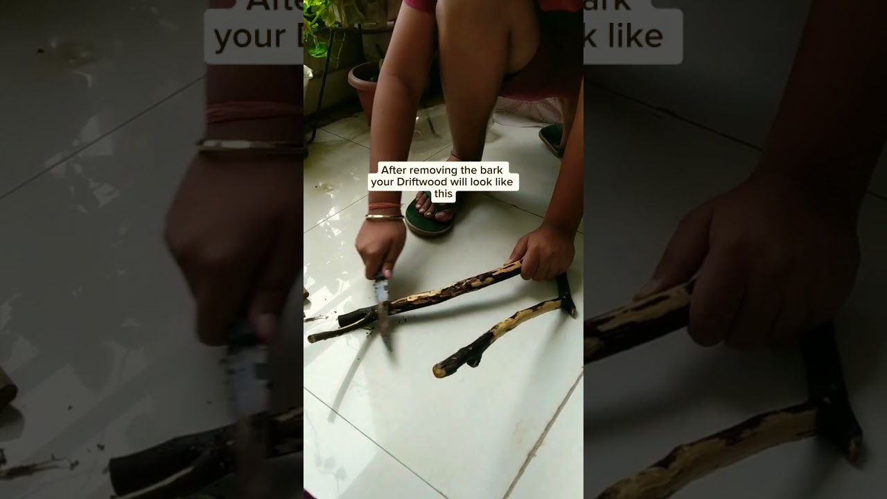 How to make driftwood at home #shorts #fish #driftwood #aquarium