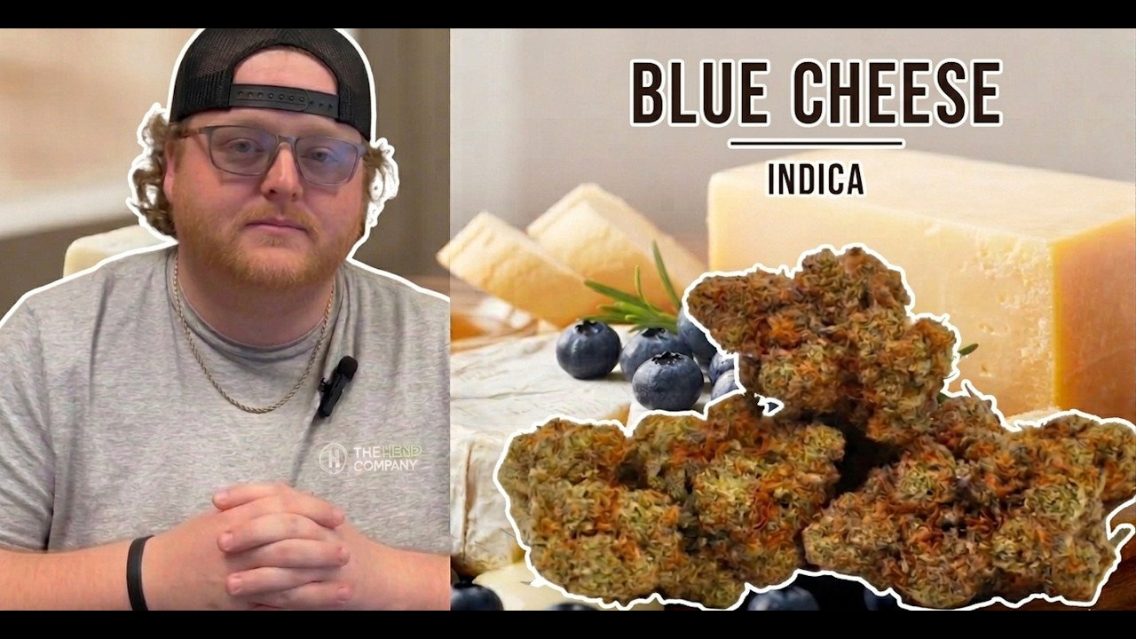 Blue Cheese Strain Breakdown: Dank Delight or Pass?
