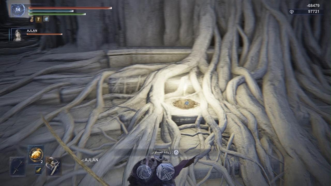 ELDEN RING NIGHTREIGN_Final boss