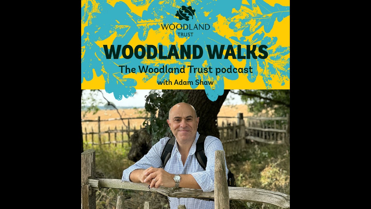 16. Flavours of the forest: drinking the taste of trees with Ben Branson