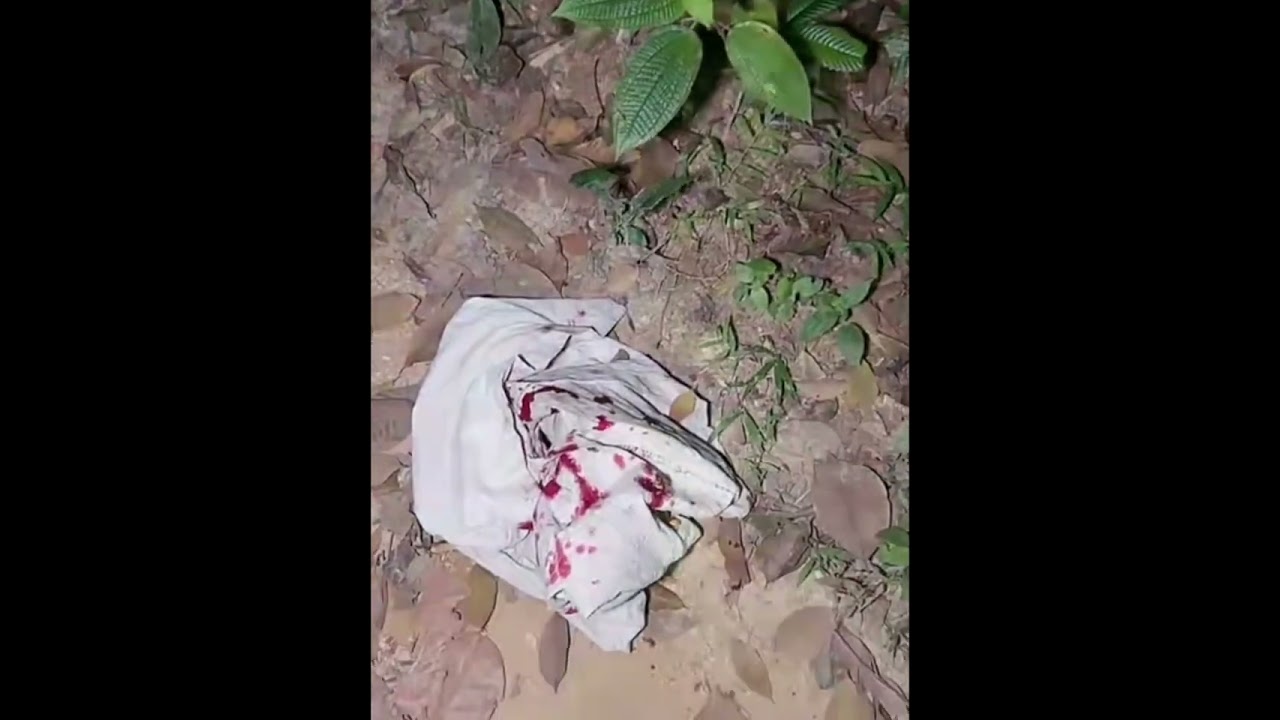 padu gila hutan bukit angker part 2/4 paranormal loy ahmad & team