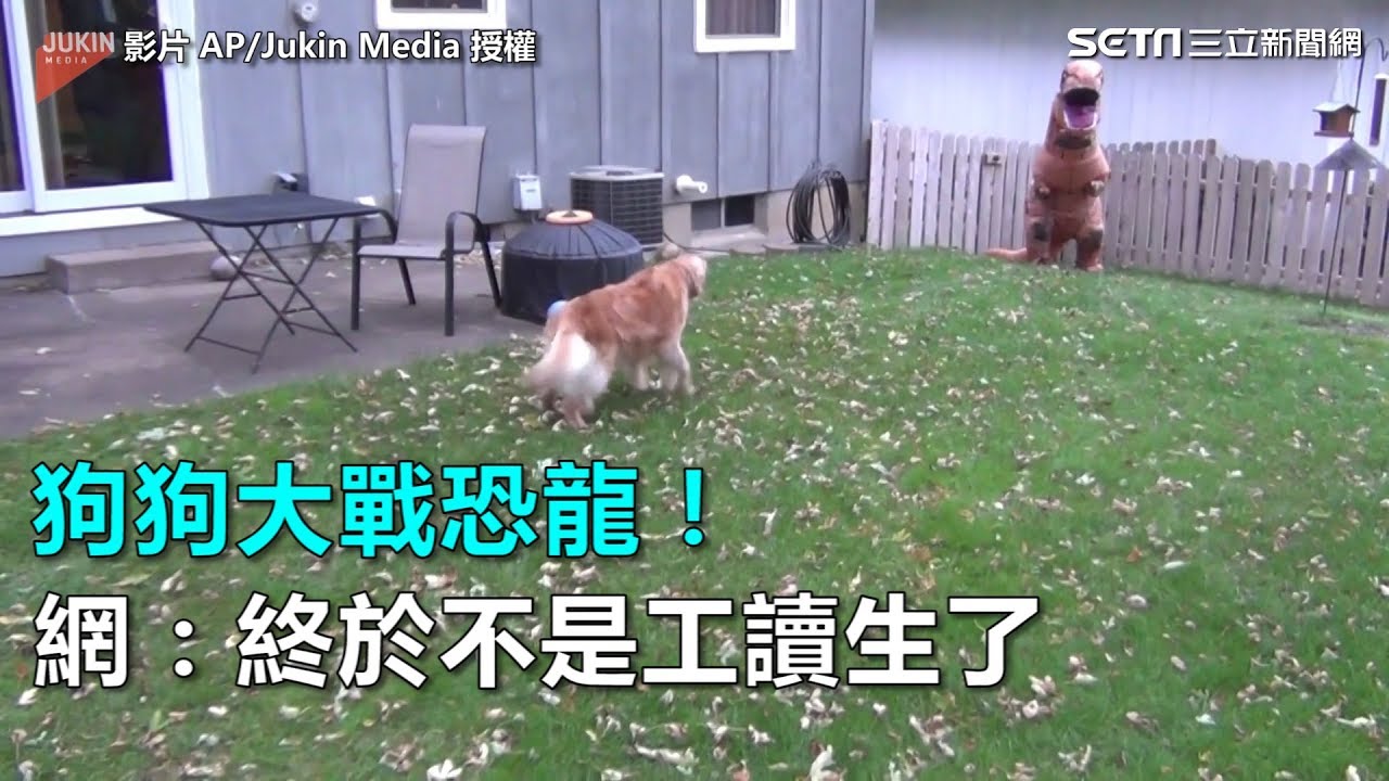 狗狗大戰恐龍！網：終於不是工讀生了｜三立新聞網SETN.com