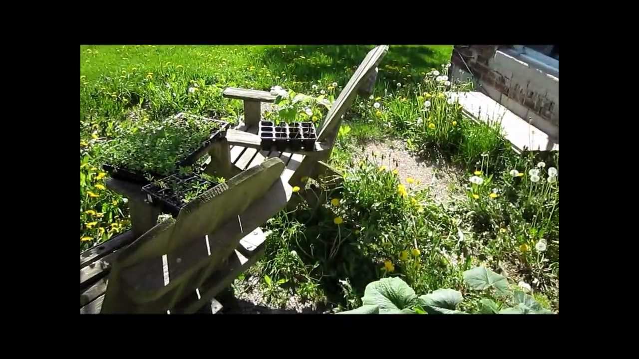 May 18, 2012 - Seedling Update, Outdoors!