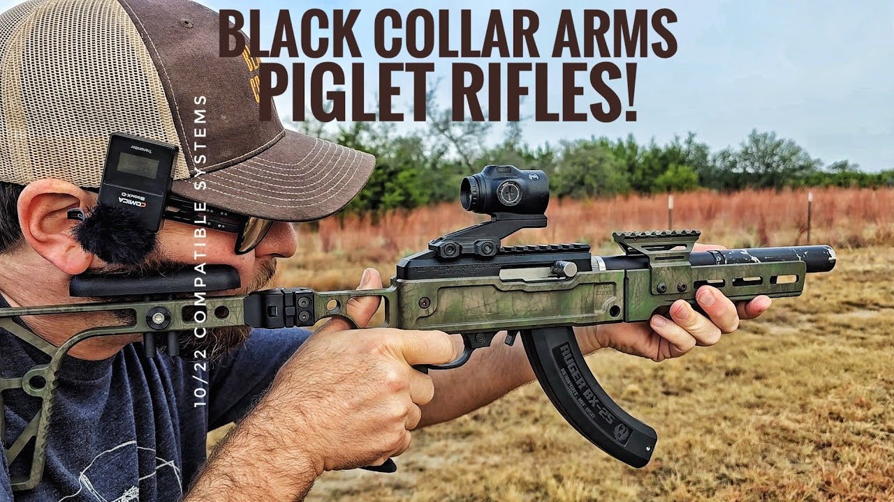 Обзор линейки Black Collar Arms Piglet! Разборка и стандартное шасси винтовки SBR 22LR, совместим...