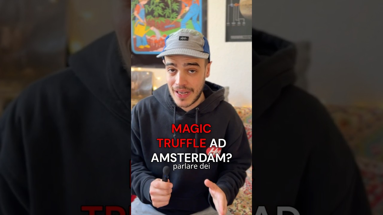 TARTUFI MAGICI AD AMSTERDAM?