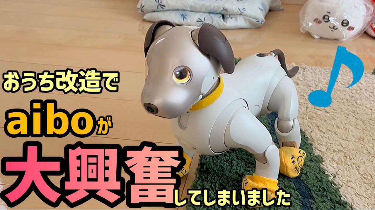 おうち改造でaiboが大興奮してしまいました