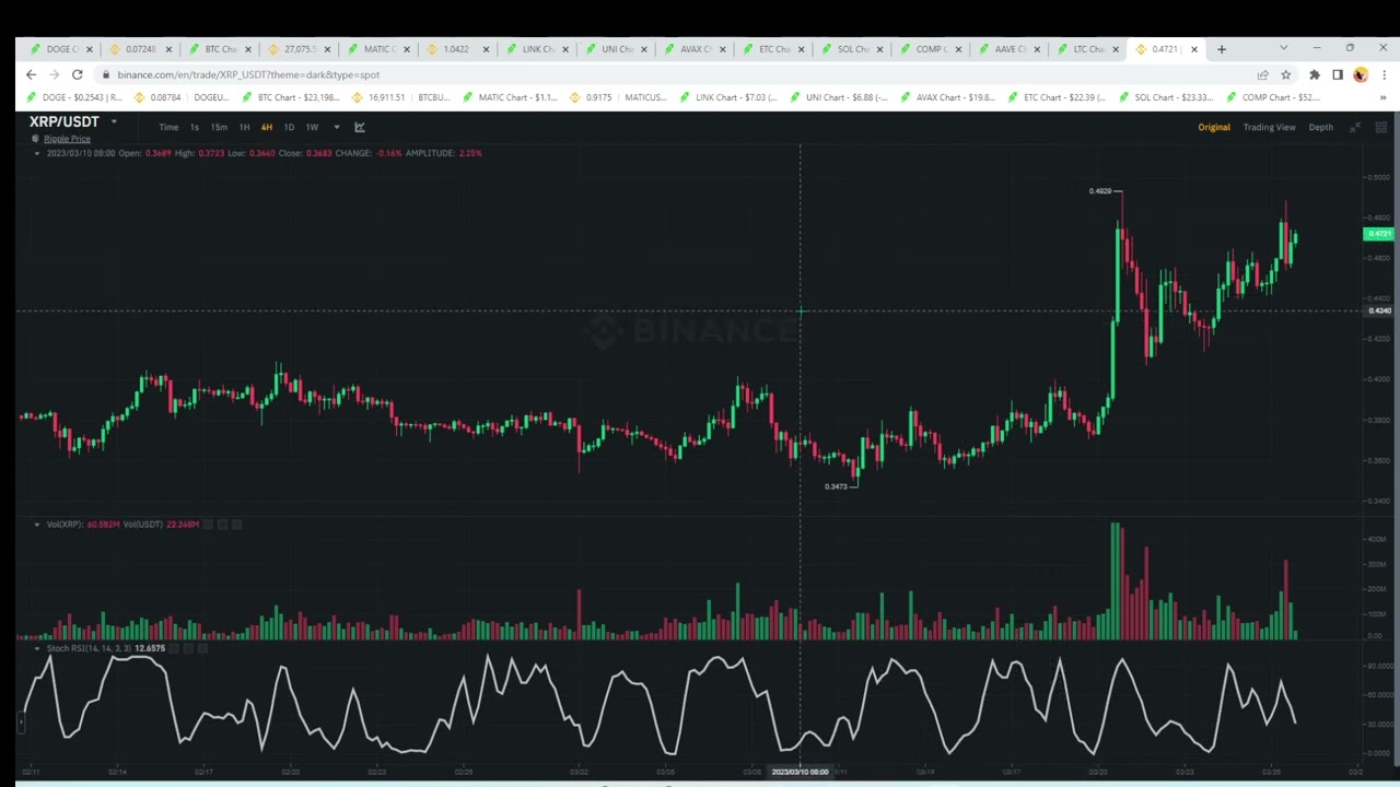 Dogecoin Mon 2:30pm