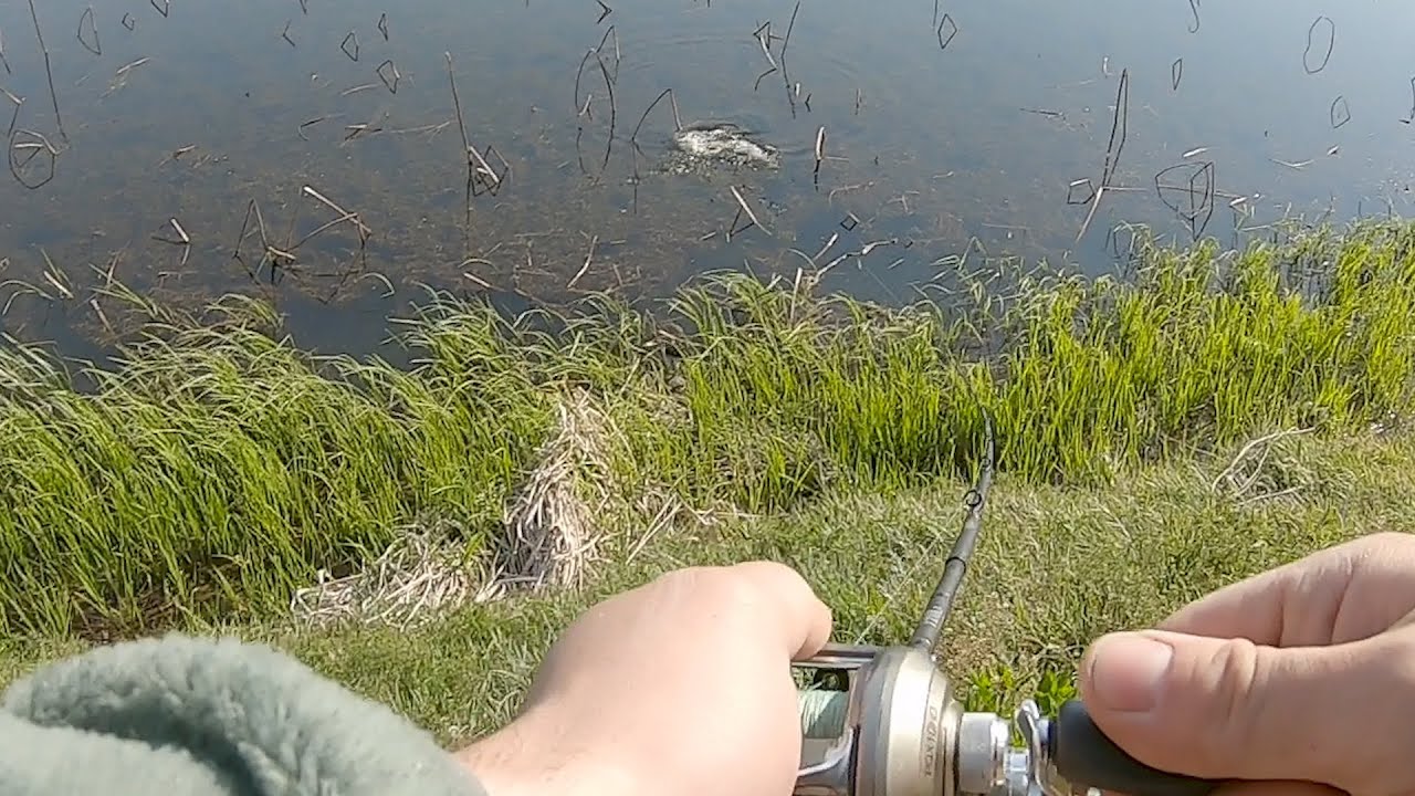 SNAKEHEAD fishing in SOUTH KOREA (EPIC)