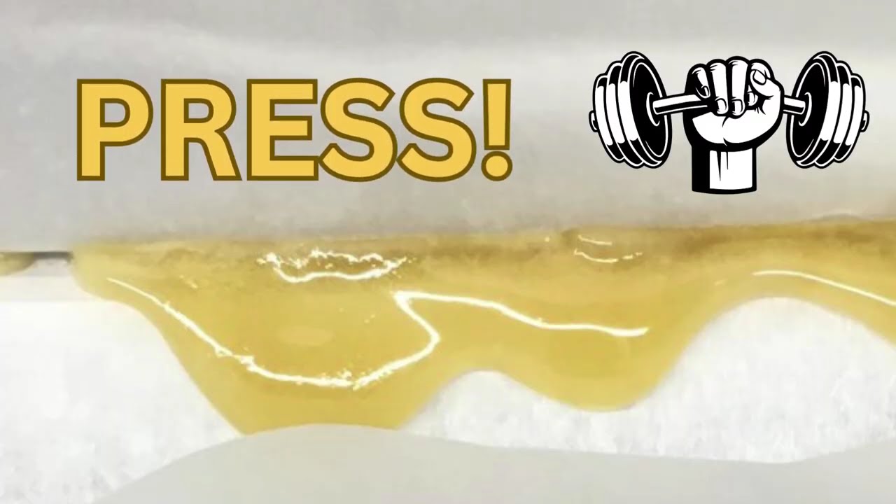 Plant to Package Full Melt Hash Rosin!