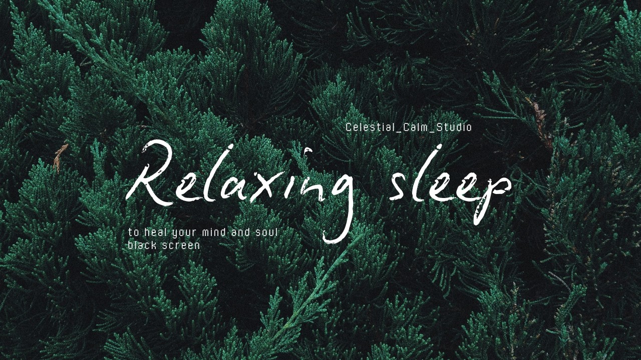 Waldschleier – Deep Sleep Forest Ambient 🌲 Black Screen Sleep