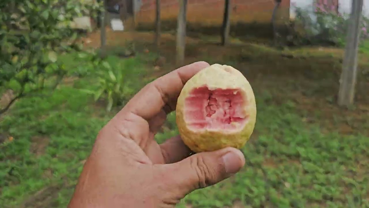 SAIR DA CLT , COMPREI UM S&Iacute;TIO. 