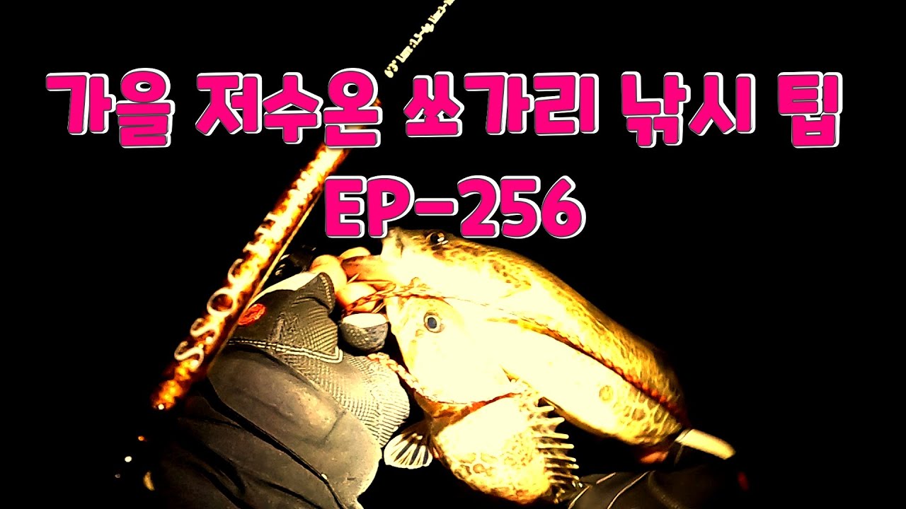 저수온기 쏘가리는 수온이 1도라도 높은날 출조 EP-256