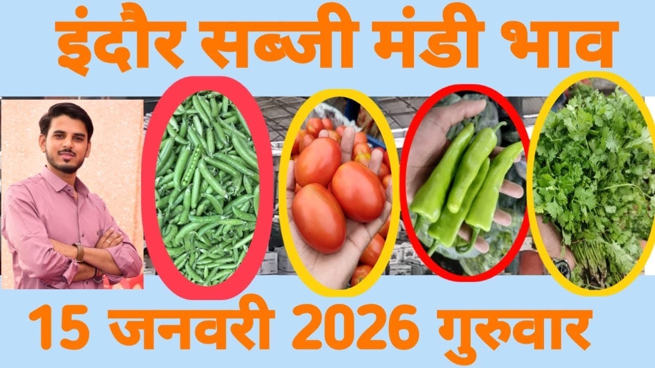 15 January 2026 सब्जी मंडी भाव इंदौर 🍅🥕🌽#today #indoremandi #sabjimandi #ytshorts #vegetables 