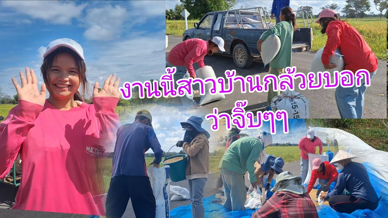 เก็บข้าวขื้นเล้าช่วยป้า#งานนี้สาวบ้านกล้วยบอกว่าจิ๊บๆๆๆ#สาวลาวสะใภ้ไทย🇱🇦🇹🇭