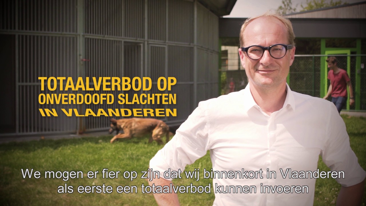 De Verandering Werkt: dierenwelzijn is een topprioriteit