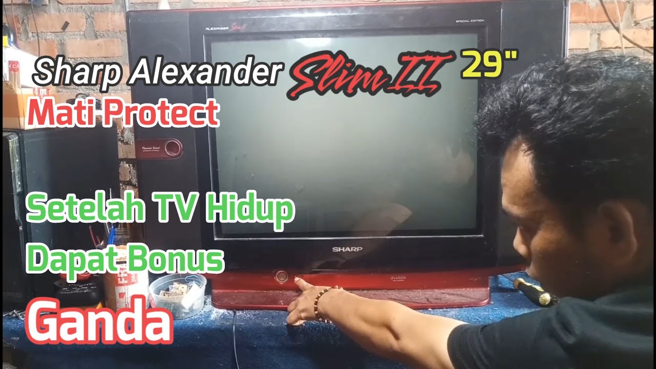 Cara Mengatasi Sharp Alexnder Slim II 29 Inch Mati Protect
