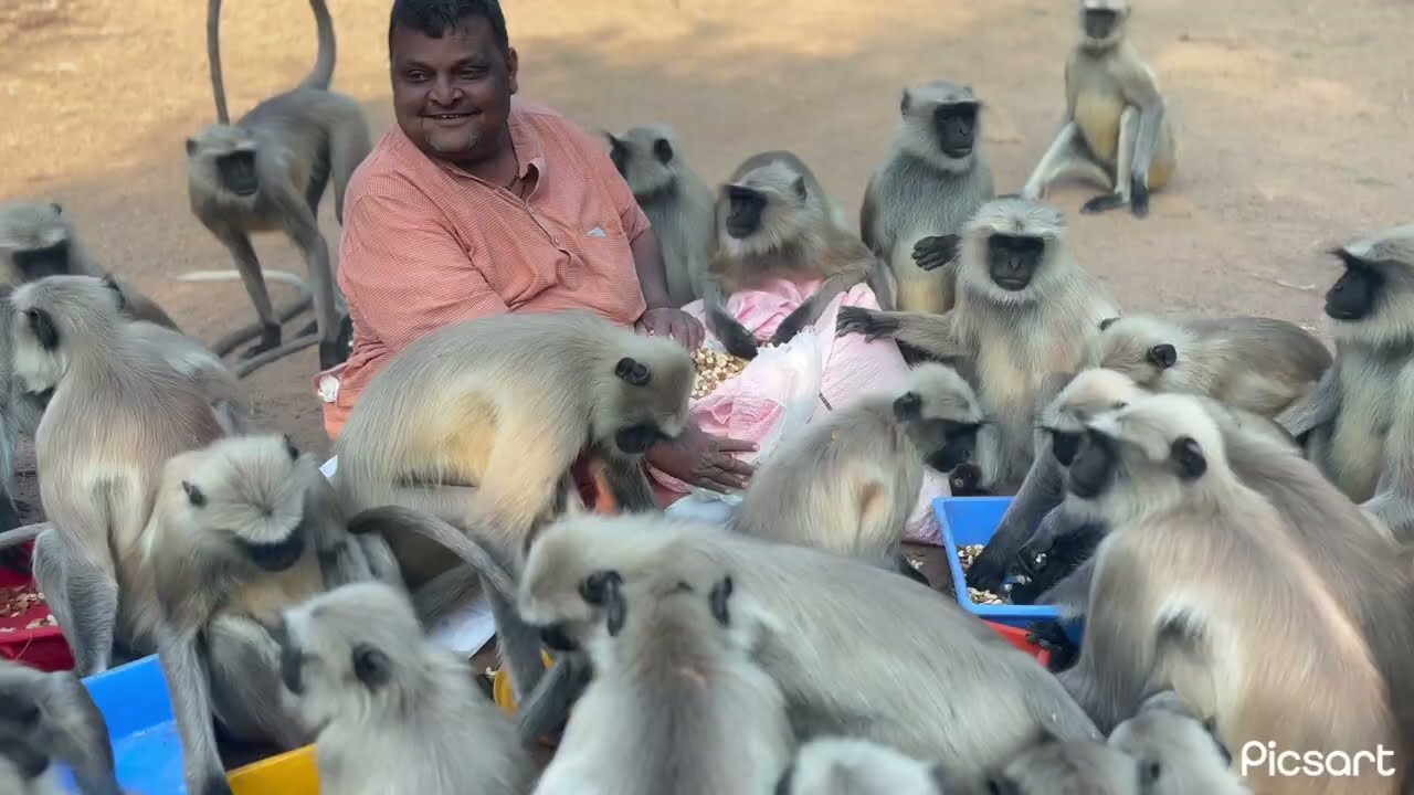 मेरी मम्मी की द्वितीय वार्षिक पुण्यतिथि निमित्त पर सब को भोजन करवाया जय सियाराम 🙏🏻🙏🏻