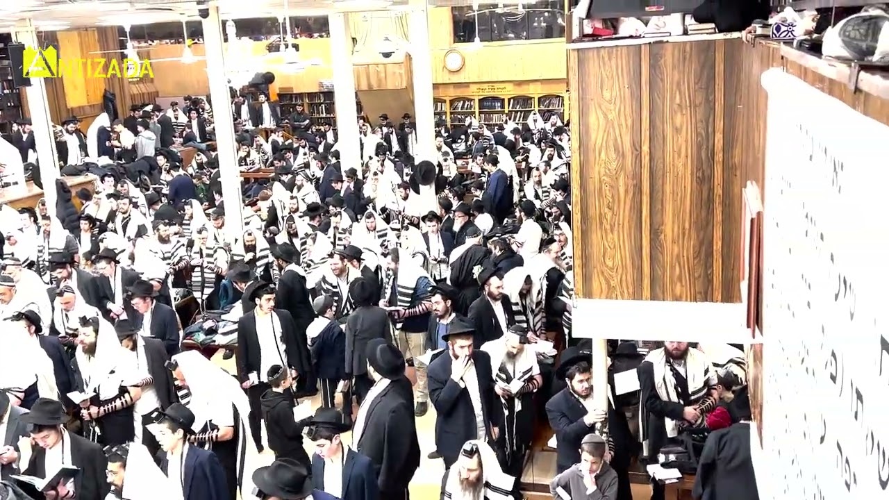הלל עם ניגוני הפרקים של הרבי  בתפילת שחרית ב-770 חנוכה ה'תשפ