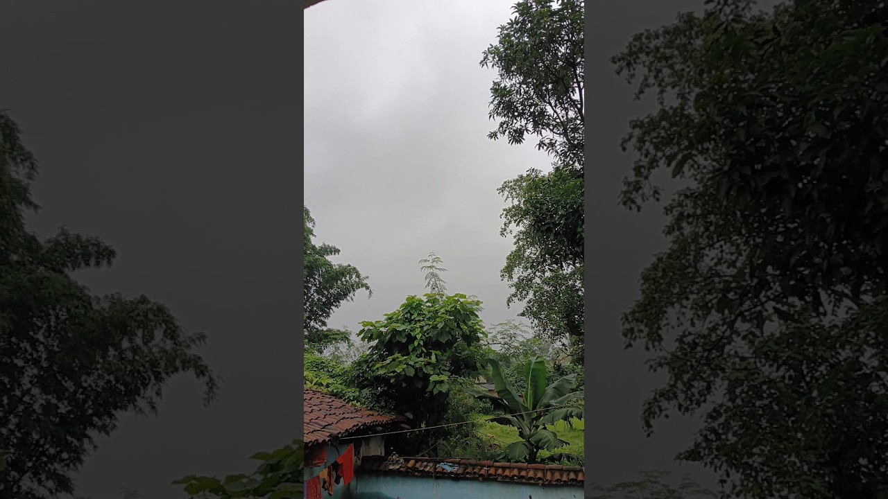 Mp weather update today heavy rain alert 24 july #shorts #short #mp