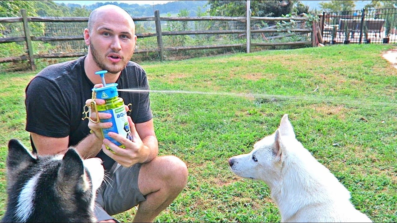 Best Water Bottle Ever!