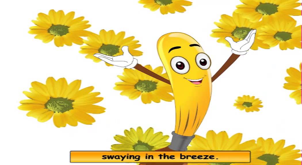 the Sunny Yellow - Colors Rhymes