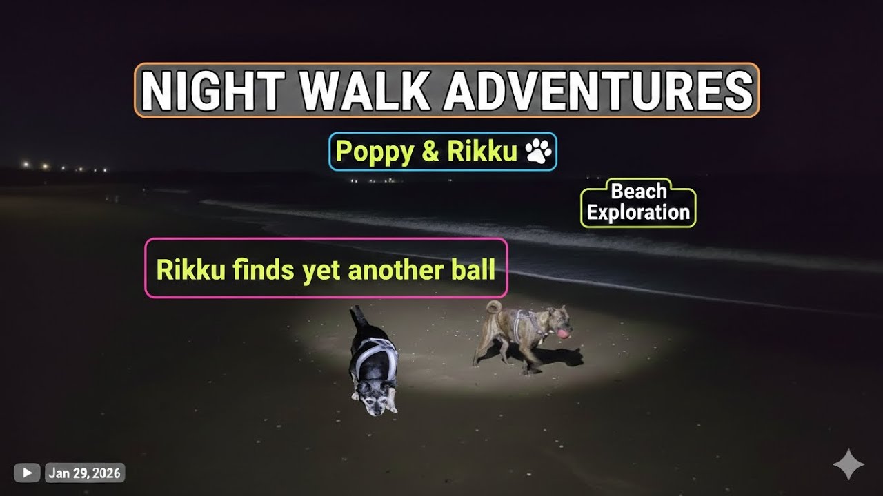​Night Beach Walk Gone Right! 🐾 Rikku Finds a Mystery Ball! **AGAIN**