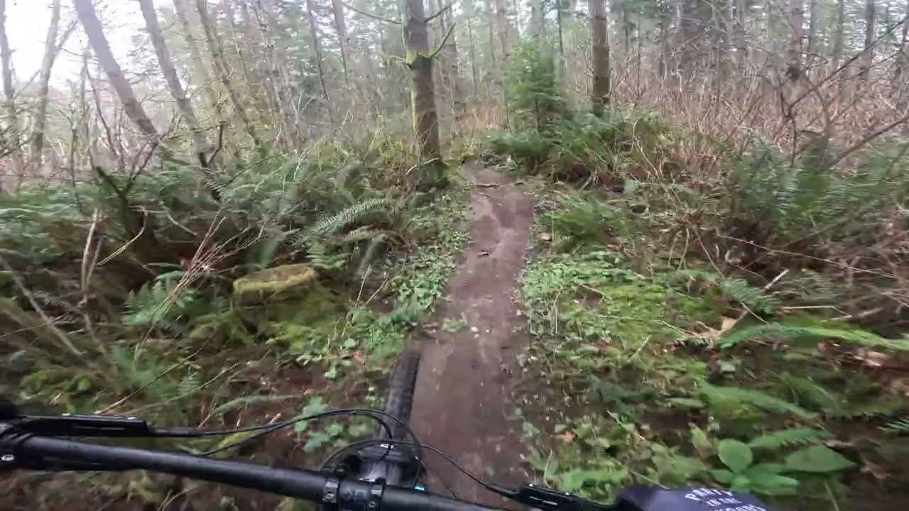Jumps and Mycelium at Port Gamble
